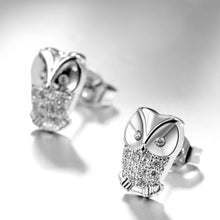 18K White Gold Plated Owl Studded Earrings