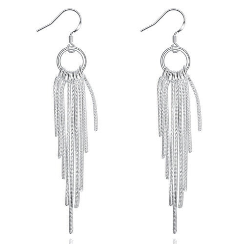 18K White Gold Plated Drop Lining Earring